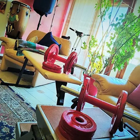 Casa Particular Homestay *